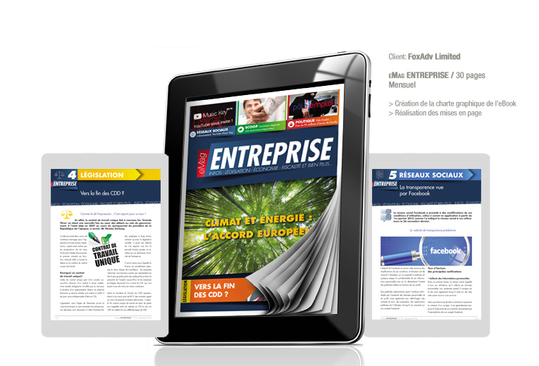 ebook entreprise