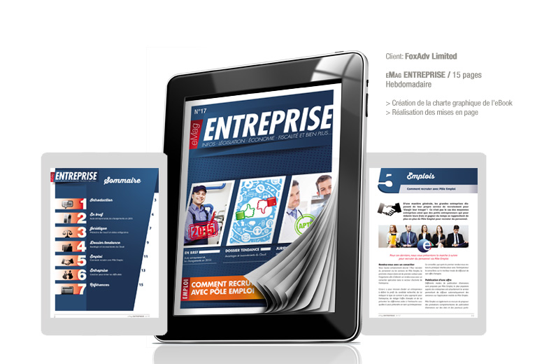 ebook entreprise