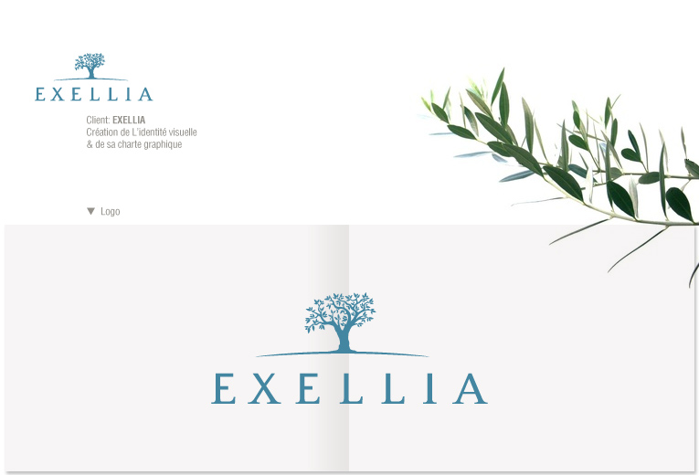 banque exellia